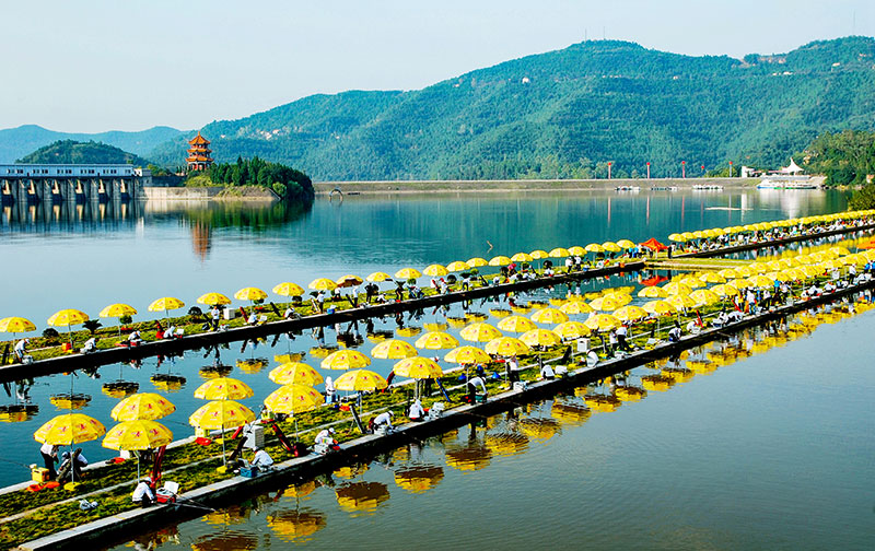 ���Ӻ����ʵ����